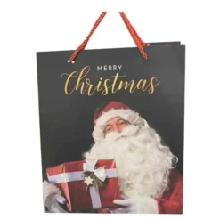 Busta Regalo Natalizie 42 X 32 X 11 Merry Christmas Babbo Natale 00891